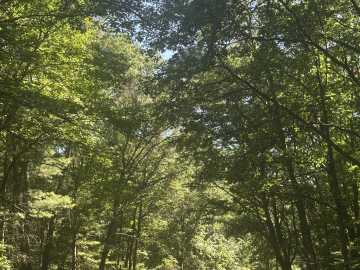 Holcombe, WI: Lot 3 271st Street