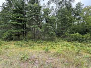 Barnes, WI: Lot 56 George Lake Road