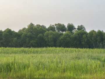 Elk Mound, WI: Lot 4 28th Avenue