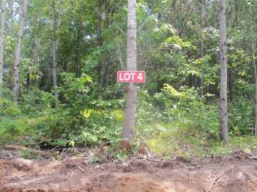 Spooner, WI: Lot 4 Birch Tree Trail