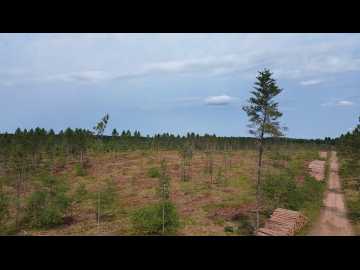 Barnes, WI: 201X Tomahawk Lake Road 