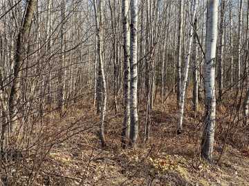 Lake Nebagamon, WI: Near Bennett Road 