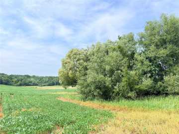 St Croix Falls, WI: 10 Acres 215th Street