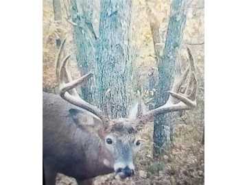 Fairchild, WI: 22045 Zink Road