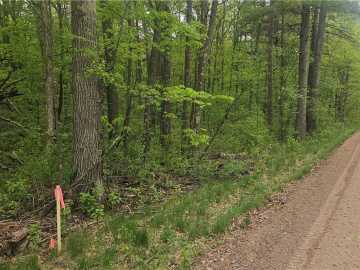 Stone Lake, WI: Lot 2 Buckeye Lane