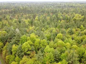 Neillsville, WI: 000 Ballard Road