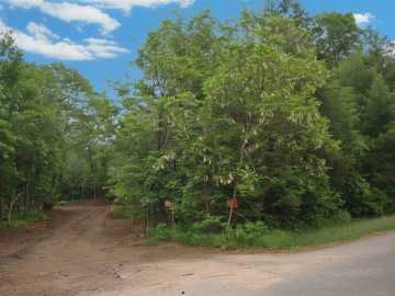 Danbury, WI: 29007 Pardun Road