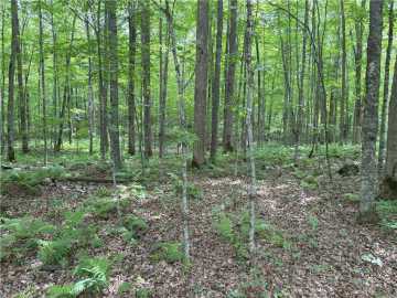 Birchwood, WI: 0 29 1/2 Ave Street