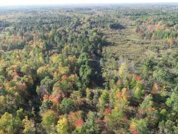 Grantsburg, WI: 00000 Logging Creek Road