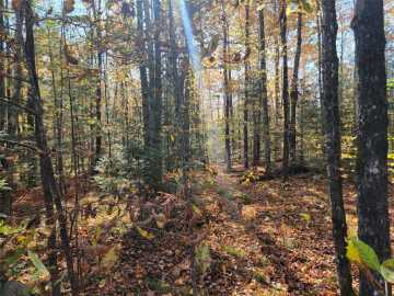 Loretta, WI: 3789W Indian Way