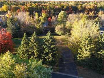 Ladysmith, WI: 1005 Bruno E Avenue