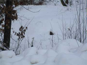 Weyerhaeuser, WI: 000 Camp Road 