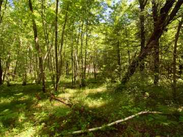 Webster, WI: 25227 Kruger Road