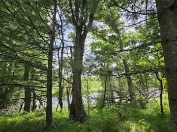 Webster, WI: Lot 2 Gaslyn Road