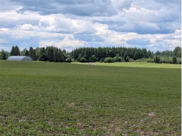 Glen Flora, WI: N4180 Wilderness Road