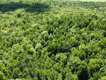 Wausau, WI: OOO Snowshoe Road