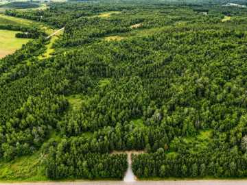 Bruce, WI: 20 Acres Adams Road