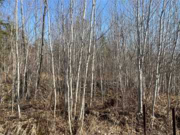 Solon Springs, WI: Near Tom Green Road 