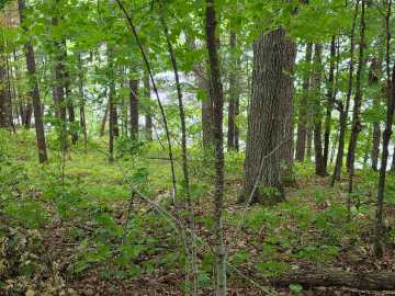 Cumberland, WI: 2406 4th Street
