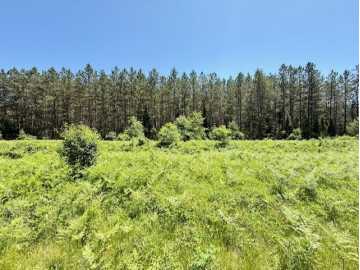 Hayward, WI: Lot 60 Brook Lane