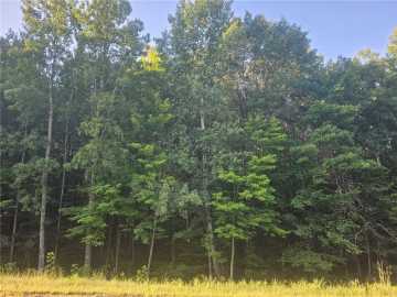 Webster, WI: Lot 2 County Rd A 