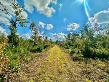 Neillsville, WI: 7487 W Poertner Road