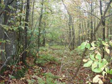 Park Falls, WI: 80+/- Acres On Bass Lake Road