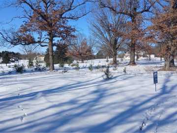 Chetek, WI: Lot 11 25-25 1/4 Street