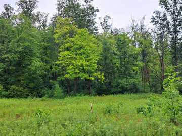 Stone Lake, WI: 16222W Musky Point Drive