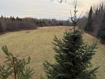 Butternut, WI: 80+/- Acres Off South Park Road
