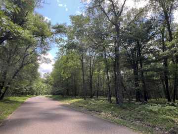 Danbury, WI: LOT 14 Loon Lake Road