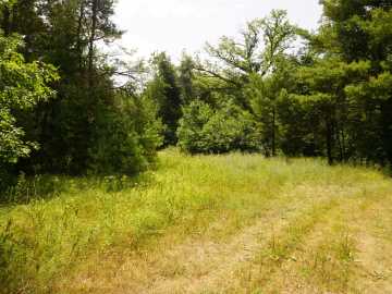 Black River Falls, WI: N9105 Flood Road