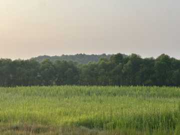 Elk Mound, WI: Lot 5 28th Avenue