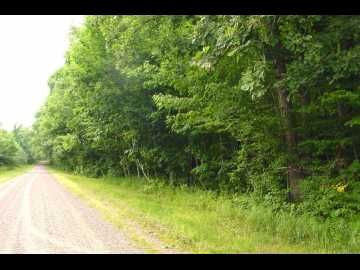 Bruce, WI: 80 Acres on Bailey Road