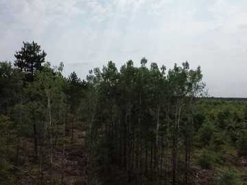 Barnes, WI: 22XX Tomahawk Lake Road 