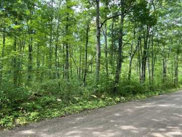 Hayward, WI: 0 Dixon Avenue