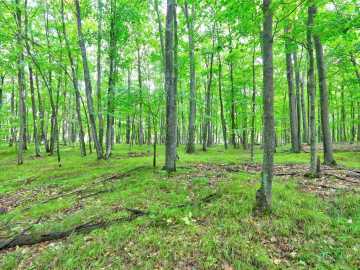 Hayward, WI: 0 Twin Lake Road