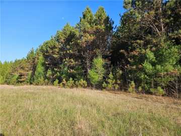 Colfax, WI: 0 990th Avenue
