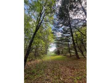 Webster, WI: 5304 Gaslyn Road