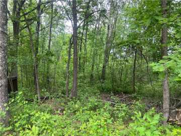 Danbury, WI: 7968 County Road F