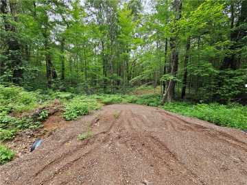Holcombe, WI: Lot 17, 1.62+/- Acres 295th Avenue