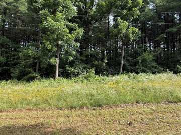 Mondovi, WI: Parcel 0002 180th Avenue