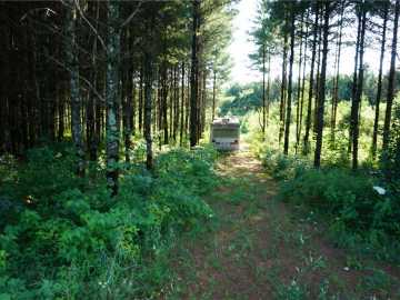 Fairchild, WI: N12715 N Monthei Road