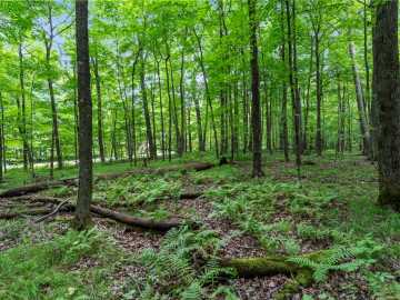 Cumberland, WI: XXX 25 1/4 Avenue