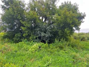 Cadott, WI: Lots 20 & 21 250th Street