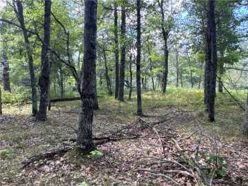 Danbury, WI: TBD French Road