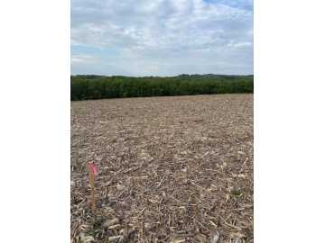 Eau Claire, WI: Lot 53 Roma Street