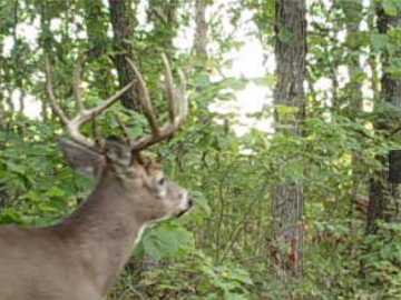 St Croix Falls, WI: XX153 River Road