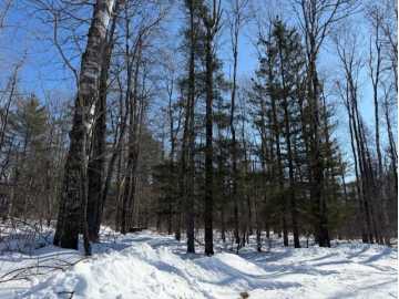 Cable, WI: Lot 108 Willow Court