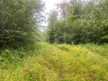 Catawba, WI: Near Timber Road
